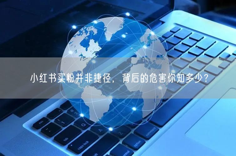小红书买粉并非捷径，背后的危害你知多少？