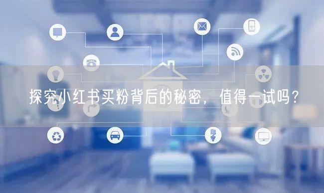 探究小红书买粉背后的秘密，值得一试吗？