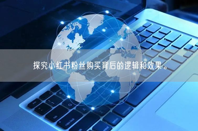 探究小红书粉丝购买背后的逻辑和效果。