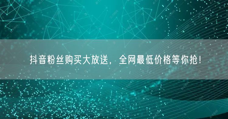 抖音粉丝购买大放送，全网最低价格等你抢！