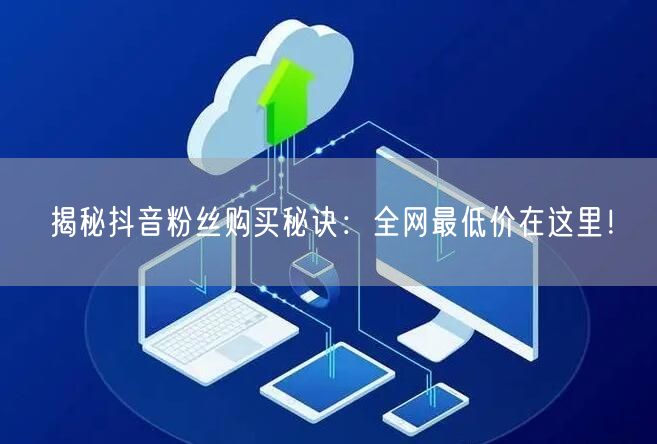 揭秘抖音粉丝购买秘诀：全网最低价在这里！